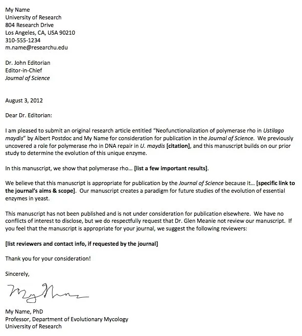 38406 professional tone